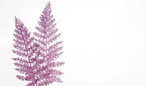 Minimal flat lay with two purple leaves and copy space on white background Stock-Fotos