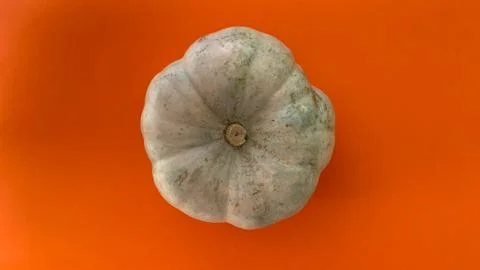 Minimal flat layout. Copy space top view white pumpkin on orange background Stock Photos