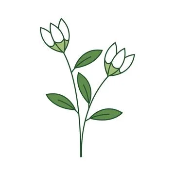 Minimal Floral Elements with Filled Outline Style Stock Illustration