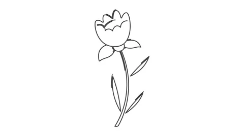Minimal Flower &amp; Four-Leaf Clover 4K Line Animation 스톡 동영상 317803379