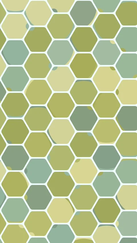 Minimal Geometric Sequence within Hex Mesh for Professional Media Stock Footage 333051244