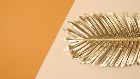 Minimal golden palm leaf appear on nude orange background. Stop motion 스톡 동영상 150285853