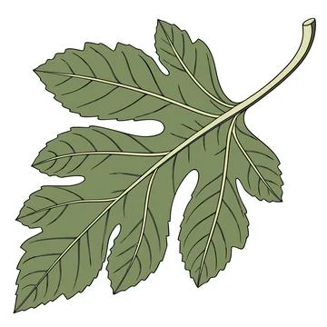 Minimal Green Leaf Icon Vector for Eco Friendly Branding Stock Illustration