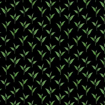 Minimal Green Tea Leaf Seamless Pattern on Black Background Illustrazione stock