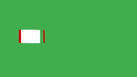 Minimal Hand-Drawn Lower Third Graphic | 2D Animated Name Bar on Green Screen Vidéo 333522941