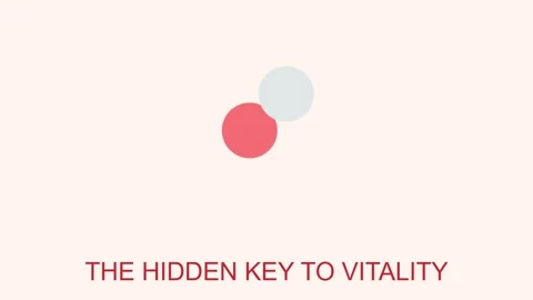 Minimal hidden key typography animation with abstract circles on soft Stock Footage 336472030