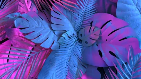 Minimal jungle background rotation around its axis. Creative summer concept Stock Footage 201247770