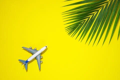 Minimal layout with model airplane and green tropical palm leaf on yellow bac Stock Photos