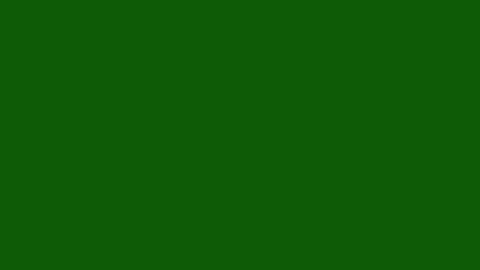 Minimal Line Circle Burst Animation (Hand-Drawn Effect) Stock-Footage 322103979