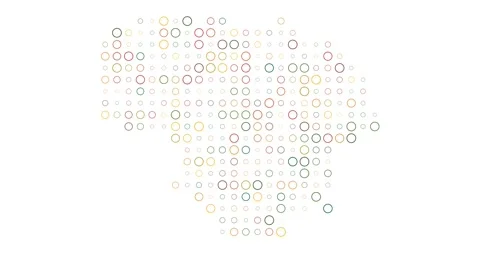 Minimal Lithuania Map Generative Design Stock Footage 312475546