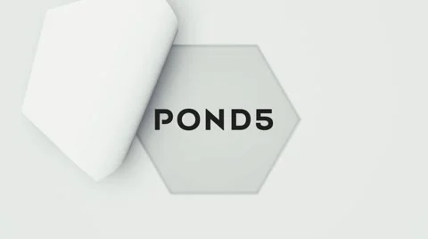 Minimal Logo Reveal 5in1 Pack 스톡 After Effects