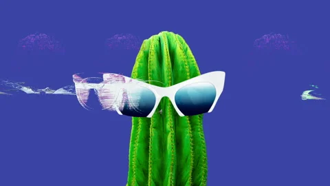 Minimal motion art. Cactus and sunglasses Stock Footage 85609780