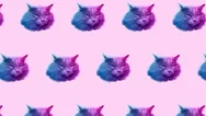 Minimal Motion Art. Cat Face Background Stock Footage