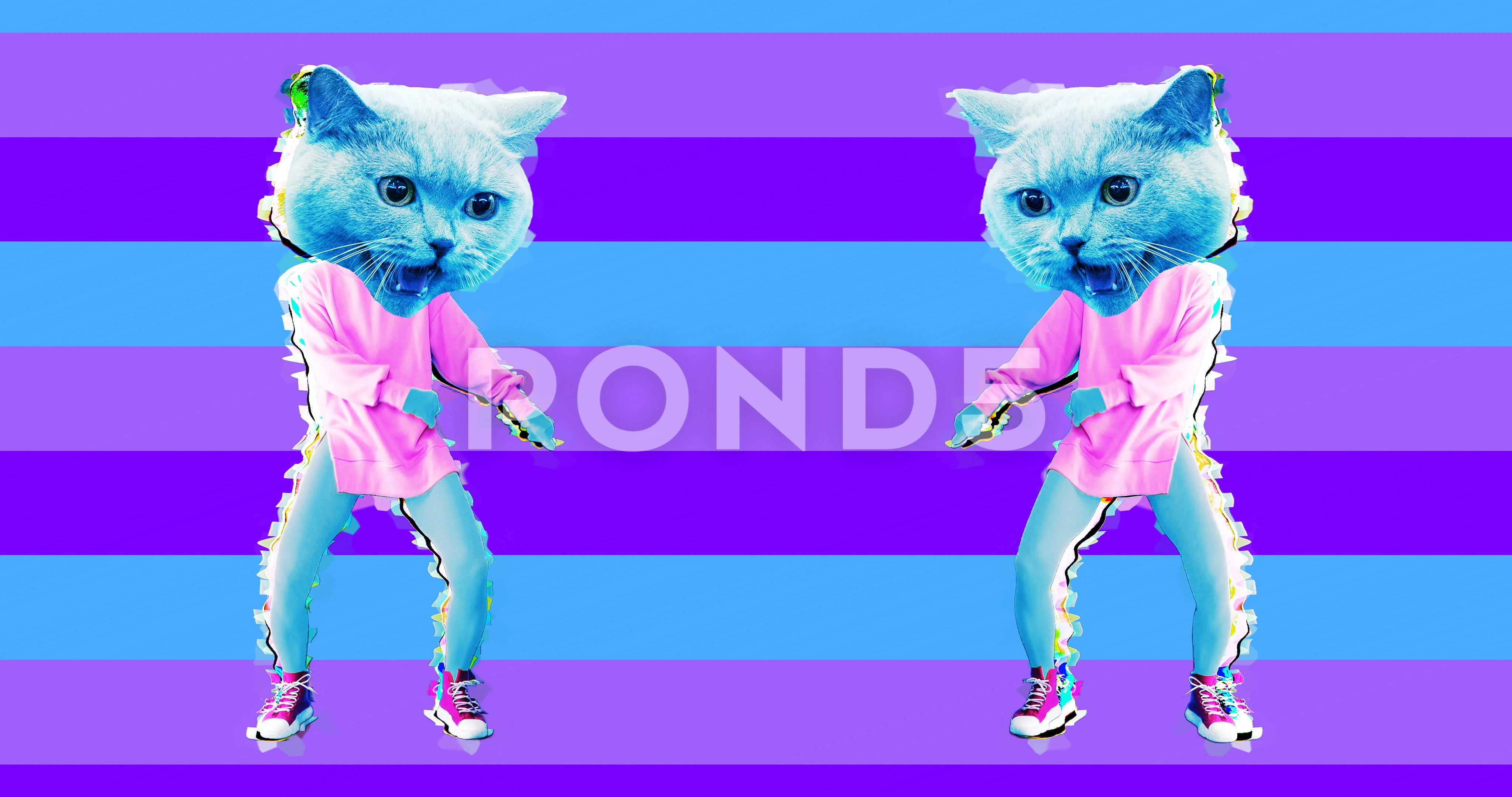 Minimal motion art. Funny dancing Cat in... | Stock Video | Pond5