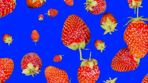 Minimal motion design animation. Strawberries revolve around on blue chromakey. 库存影片 128632085