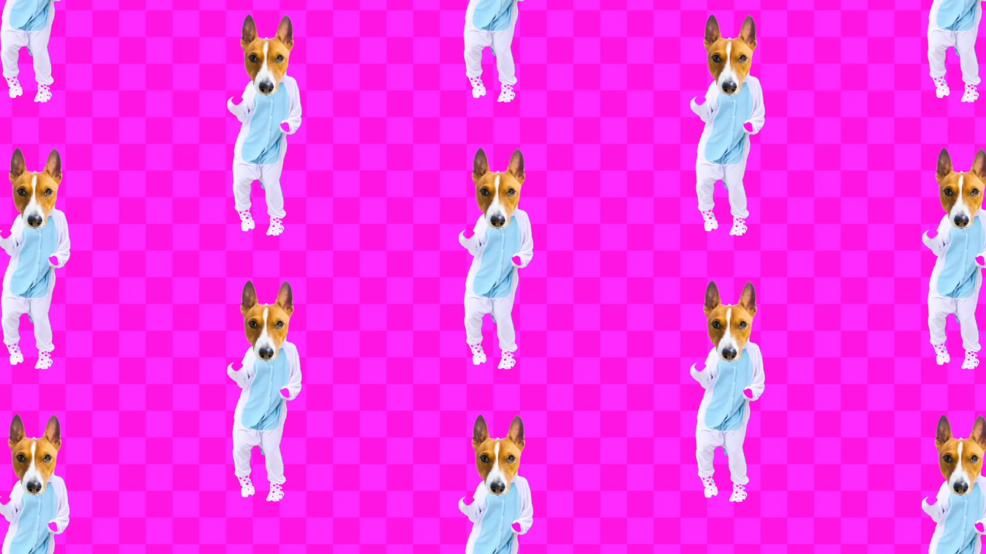 cartoon dancing stock video footage royalty free cartoon dancing videos pond5 minimal motion design art dancing dog in pajamas