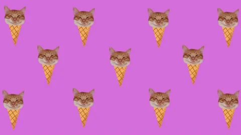 Minimal Motion design art. Kitty ice cream. Animation art. Looping graphic Stock Footage 154807685