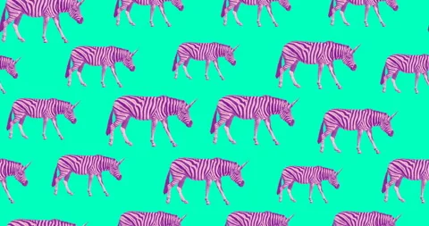Minimal motion design. Zebra Unicorn pattern Stock Footage 100676108
