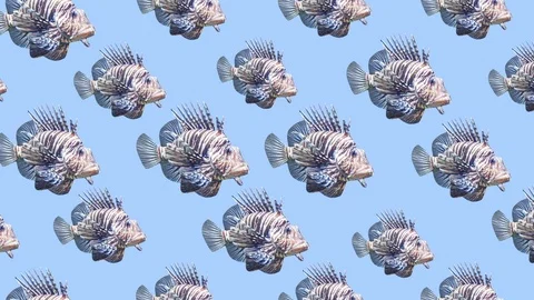 Minimal motion pattern design.Tropical fish background Stock Footage 109583660