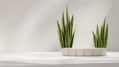 Minimal natural ceramic texture podium with snake plant 3d rendering mockup back Stockillustratie
