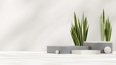 Minimal natural ceramic texture podium with snake plant 3d rendering mockup back Stockillustratie