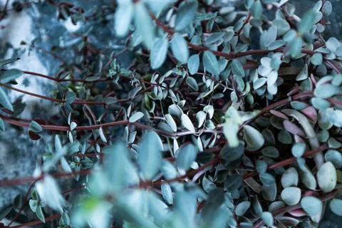 Minimal Neutral Background Texture Stock Photos