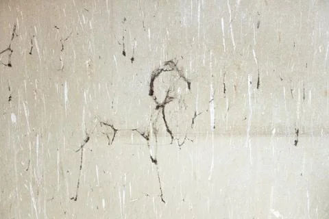 Minimal Neutral Background Texture Stock Photos