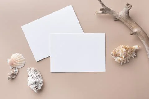 Minimal paper card mockup on beige background with dry branches and seashell Stock Photos