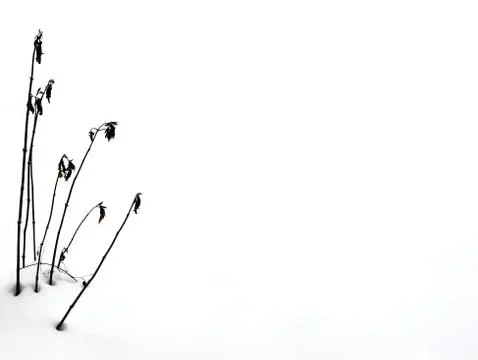 Minimal Stock Photos