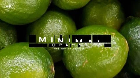Minimal Photo Slideshow 库存 After Effects