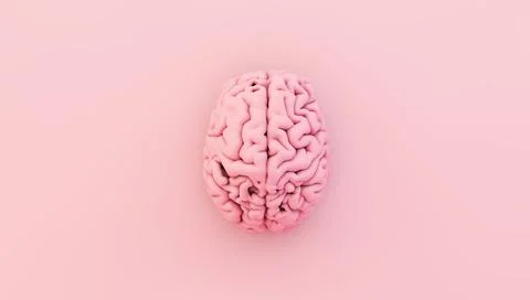 Minimal pink brain Stock Illustration