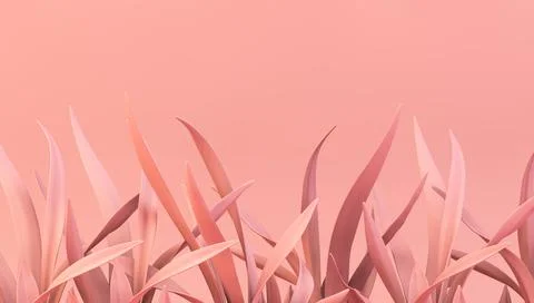Minimal pink plants background Stock Illustration