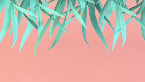 Minimal plants background Illustrazione stock
