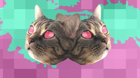 Minimal Pop Design Funny Kitty Cat Animation 스톡 동영상 128653358