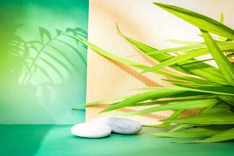 Minimal product display Stock Photos