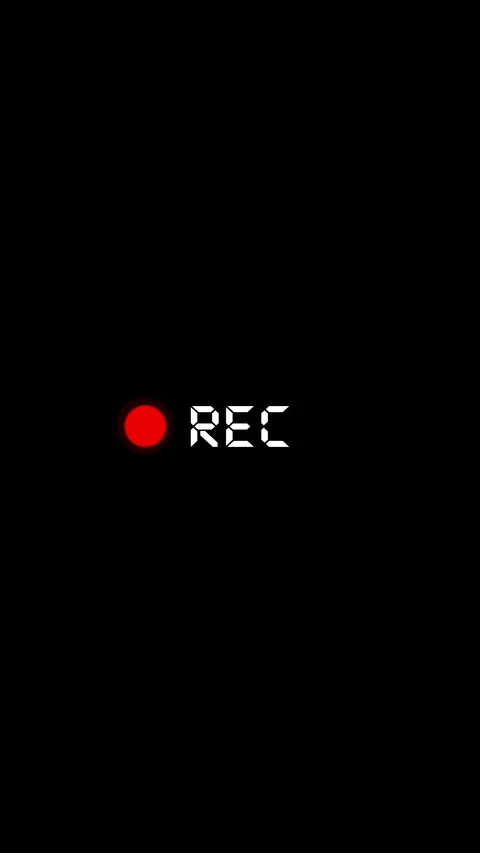 Minimal REC recording red dot, white text, black empty space. Perfect for camera Stock Footage 340413112