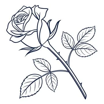 Minimal Red Rose Flower Flat Vector Stock Illustration