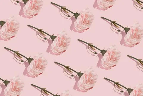 Minimal romatic pattern made with pink flowers on pastel background. Modern I Stock Photos