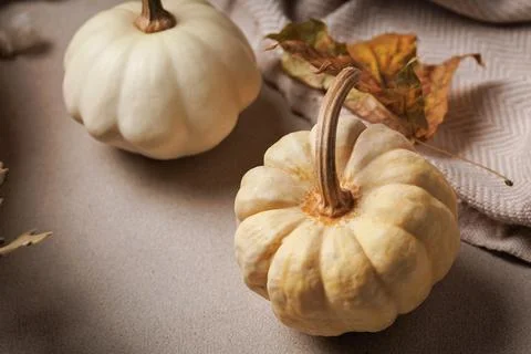 Minimal rustic autumn decor with pumpkin and blanket Stock Photos