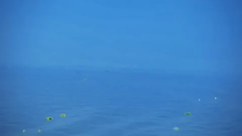 Minimal seascape, deep blue ocean, clear sky, single dark object on horizon Stock Footage 299806936