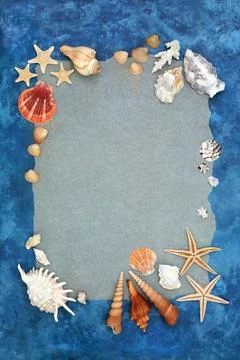 Minimal Seashell Abstract Background Frame Stockfoto's