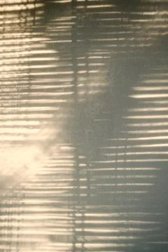 Minimal shadow texture overlay effect on a sunny day. Stock Photos
