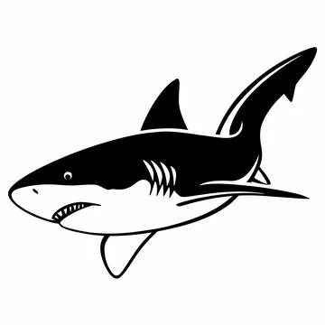 Minimal Shark Flat Vector Graphic Stock Illustration