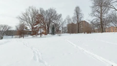 Minimal Snow Background With Winter Light and Texture Stock Footage 323769407