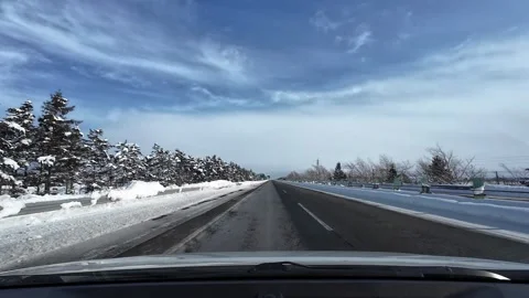 Minimal snowy highway with pine trees in Hokkaido Stock Footage 333229976