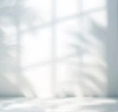 Minimal Soft Window Light Shadow Overlay for Branding, Packaging Design, Social Stock Illustration