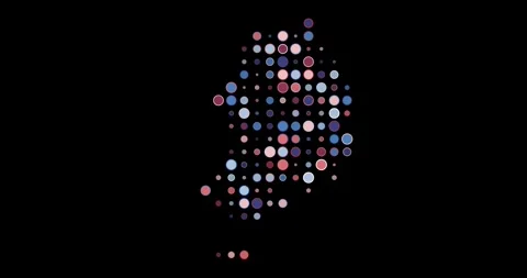 Minimal South Korea Animated Map Stock Footage 312475896
