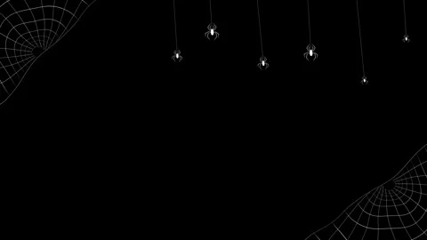 Minimal spider web Halloween hanging white spiders, black empty space, clean cor Stock Footage 340556490