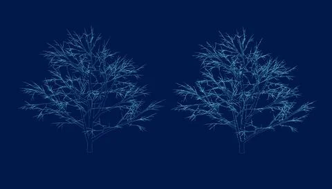 Minimal style cad tree line drawing Vector illustration in stroke fill in blue, Stock Illustration