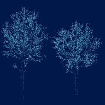 Minimal style cad tree line drawing Vector illustration in stroke fill in blue, Stock Illustration